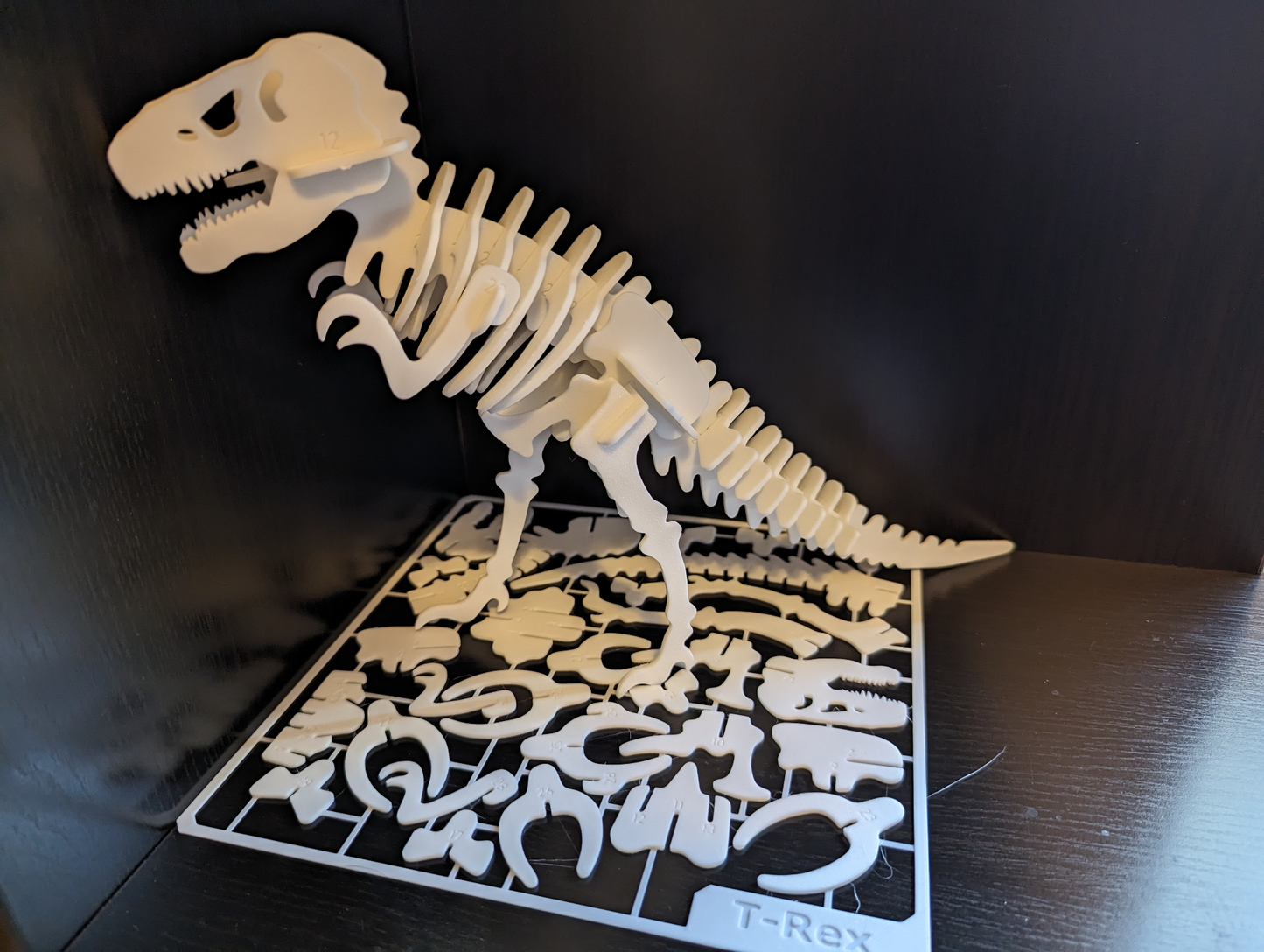 Kit De Armado T-Rex
