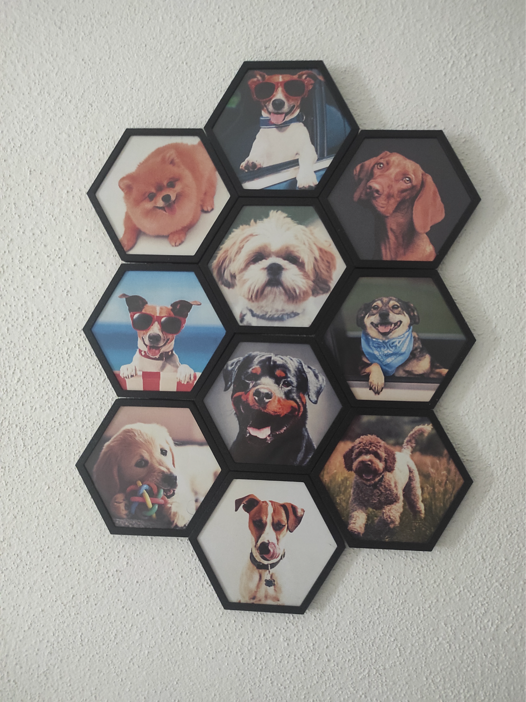 Hexágonos De Fotos Modulares