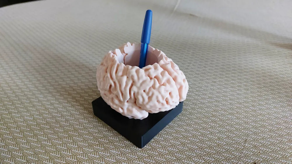 Lapicero con forma de cerebro