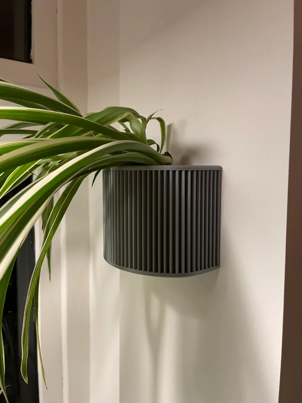 Macetero De Pared