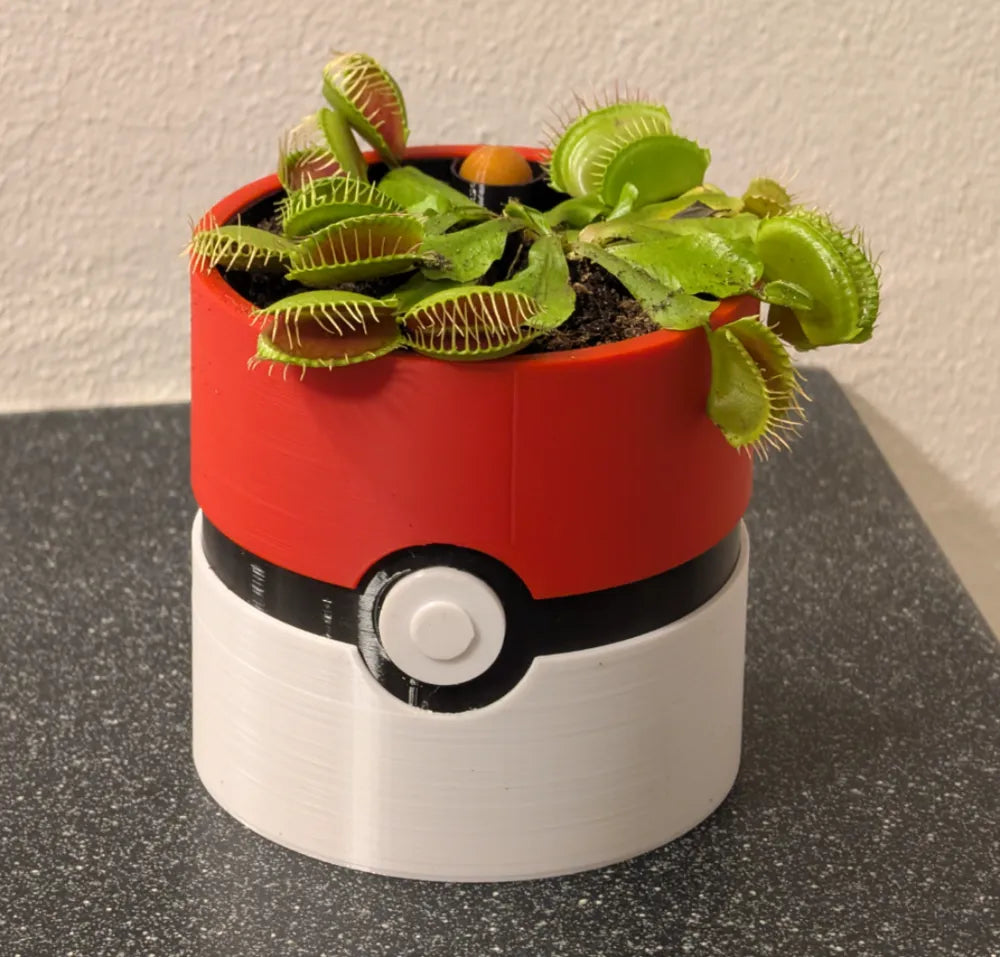Macetero Pókemon