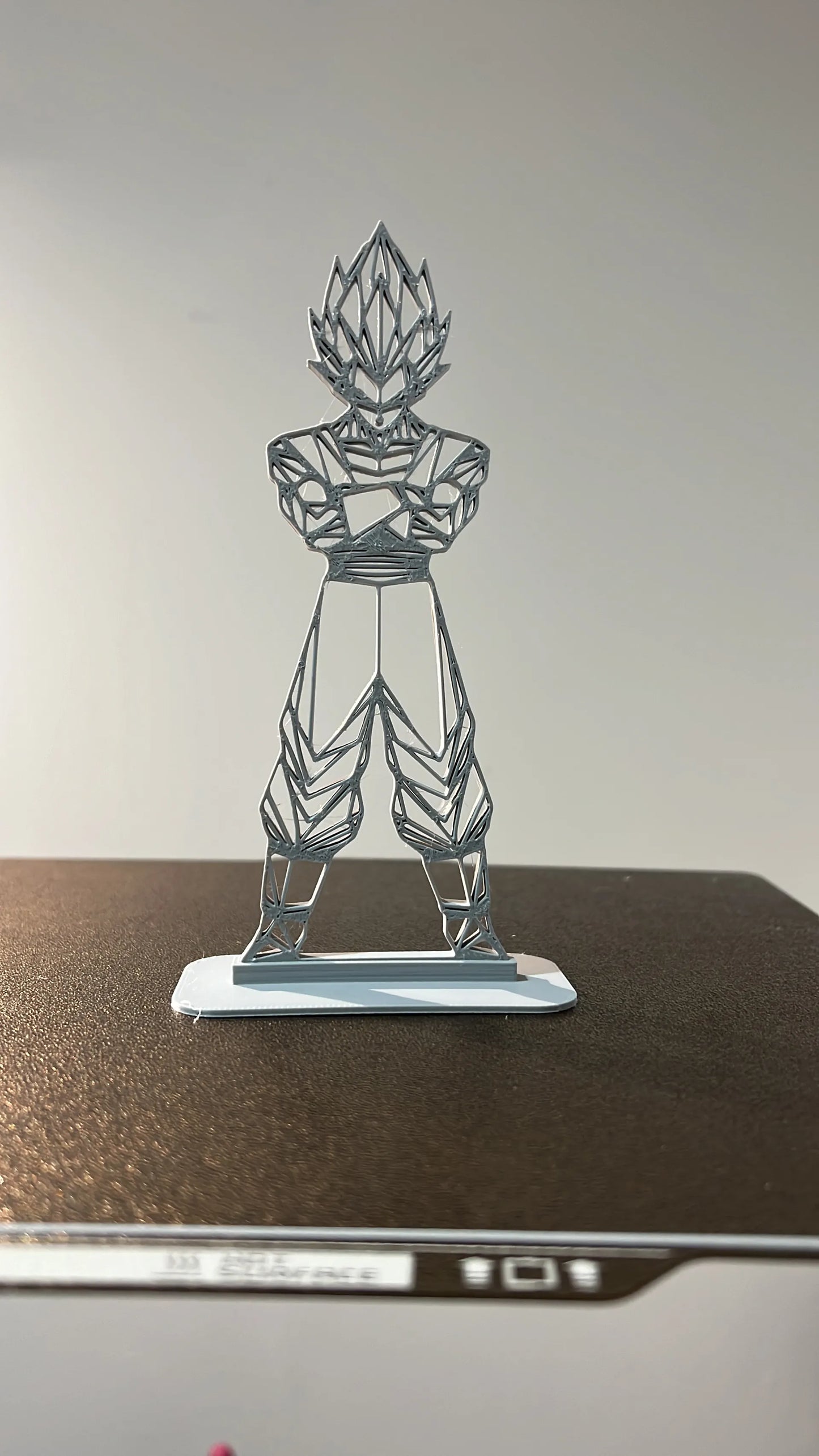 Figura Geométrica Vegeta