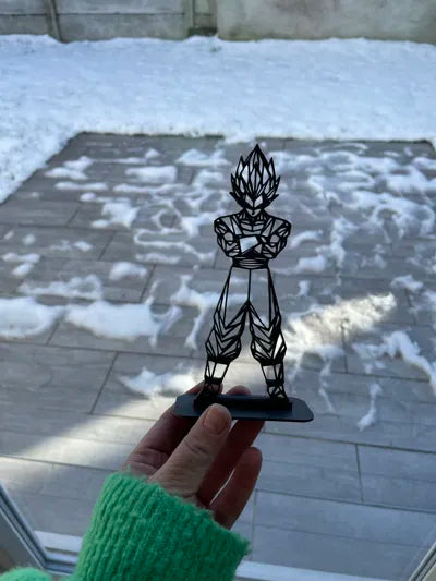 Figura Geométrica Vegeta