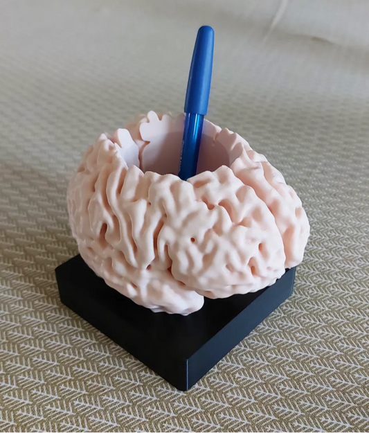 Lapicero con forma de cerebro