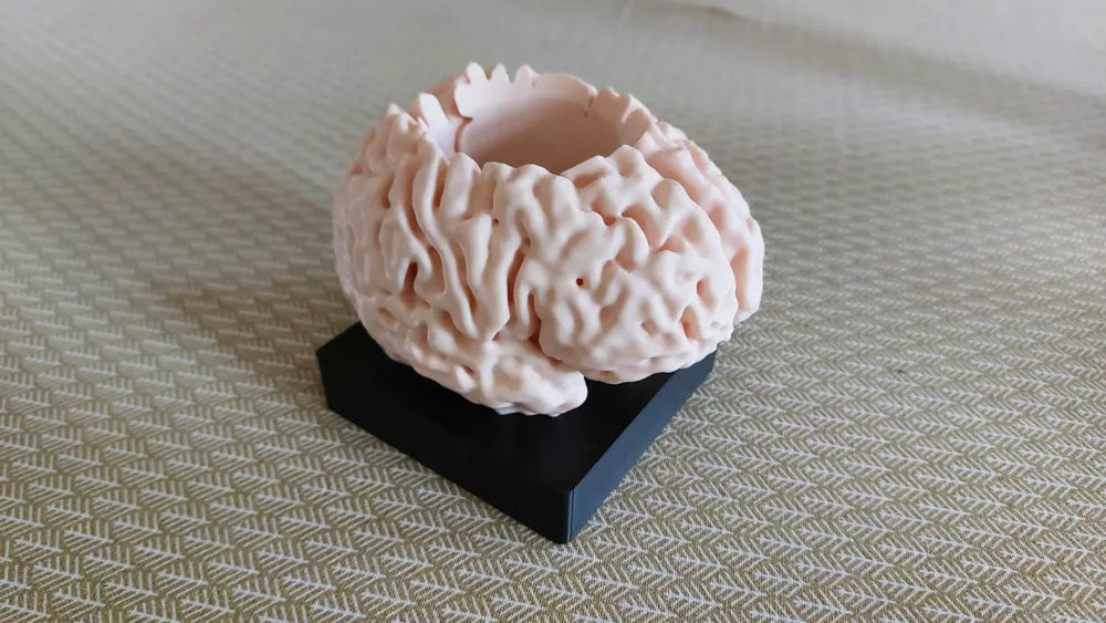 Lapicero con forma de cerebro