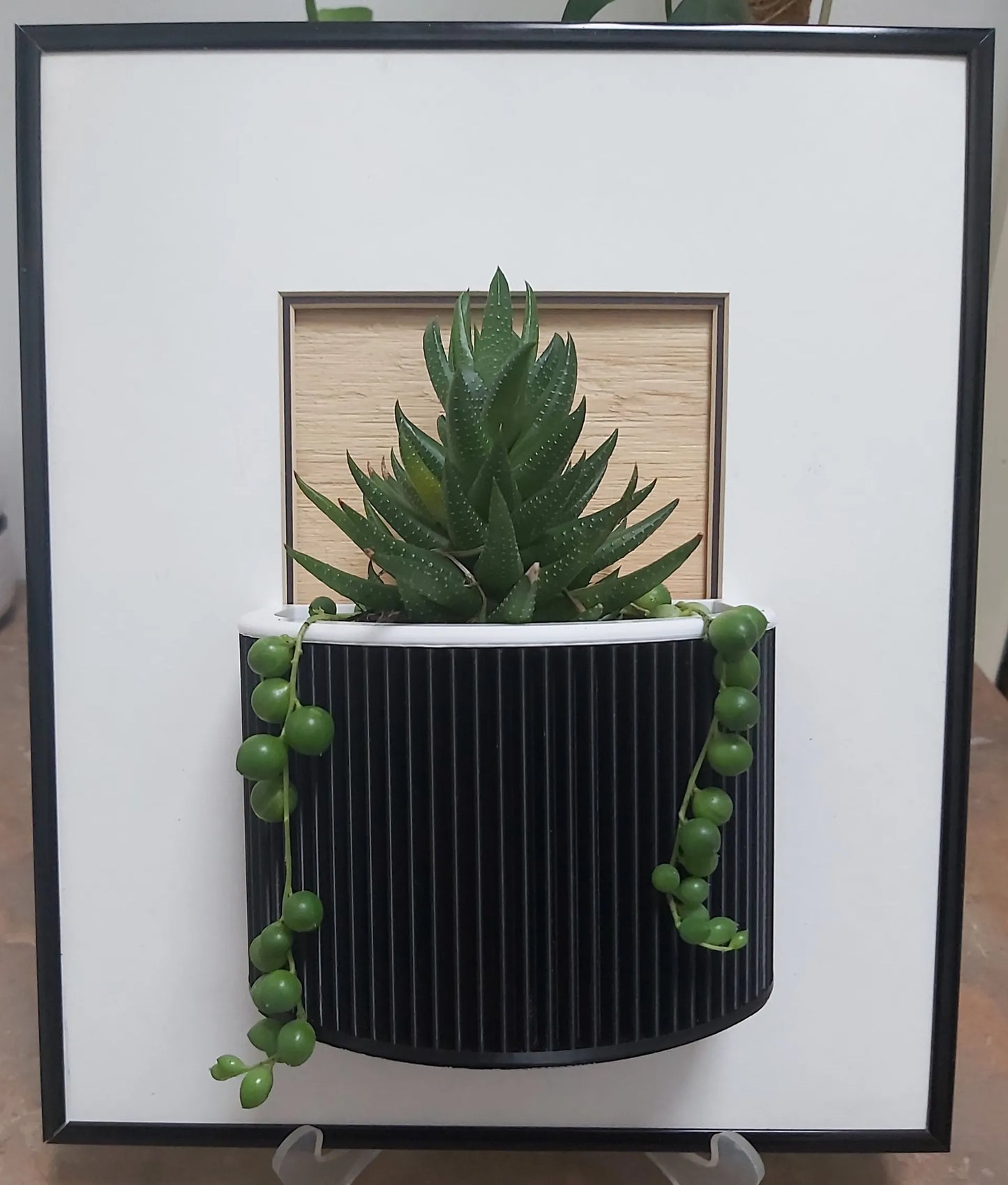 Macetero De Pared
