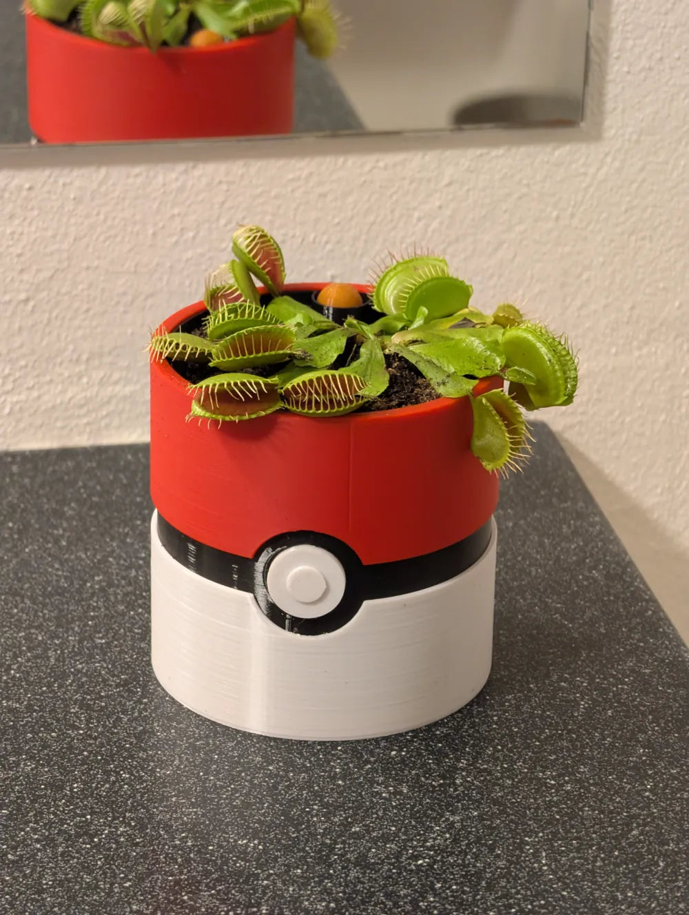 Macetero Pókemon