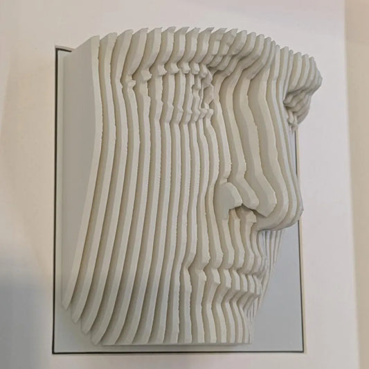 Cuadro Delineado Miguel Angel